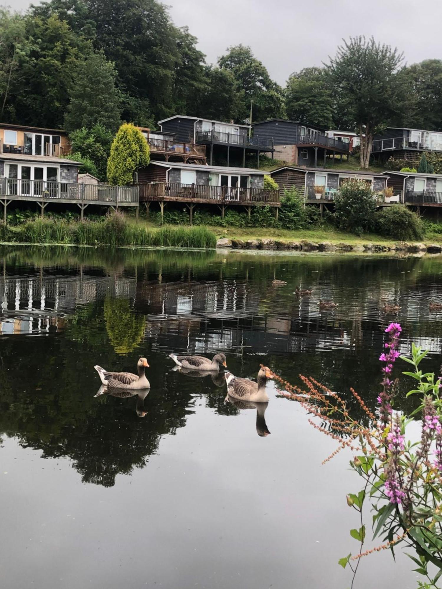 Chalet 64, Lakeside, Glan Gwna Holiday Park Caernarfon Zewnętrze zdjęcie